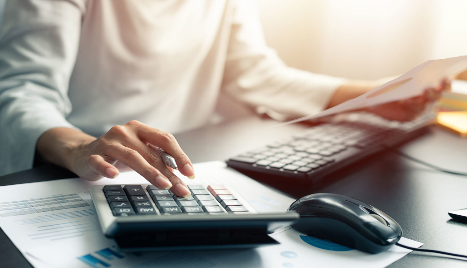 Services Inline – Monthly Bookkeeping