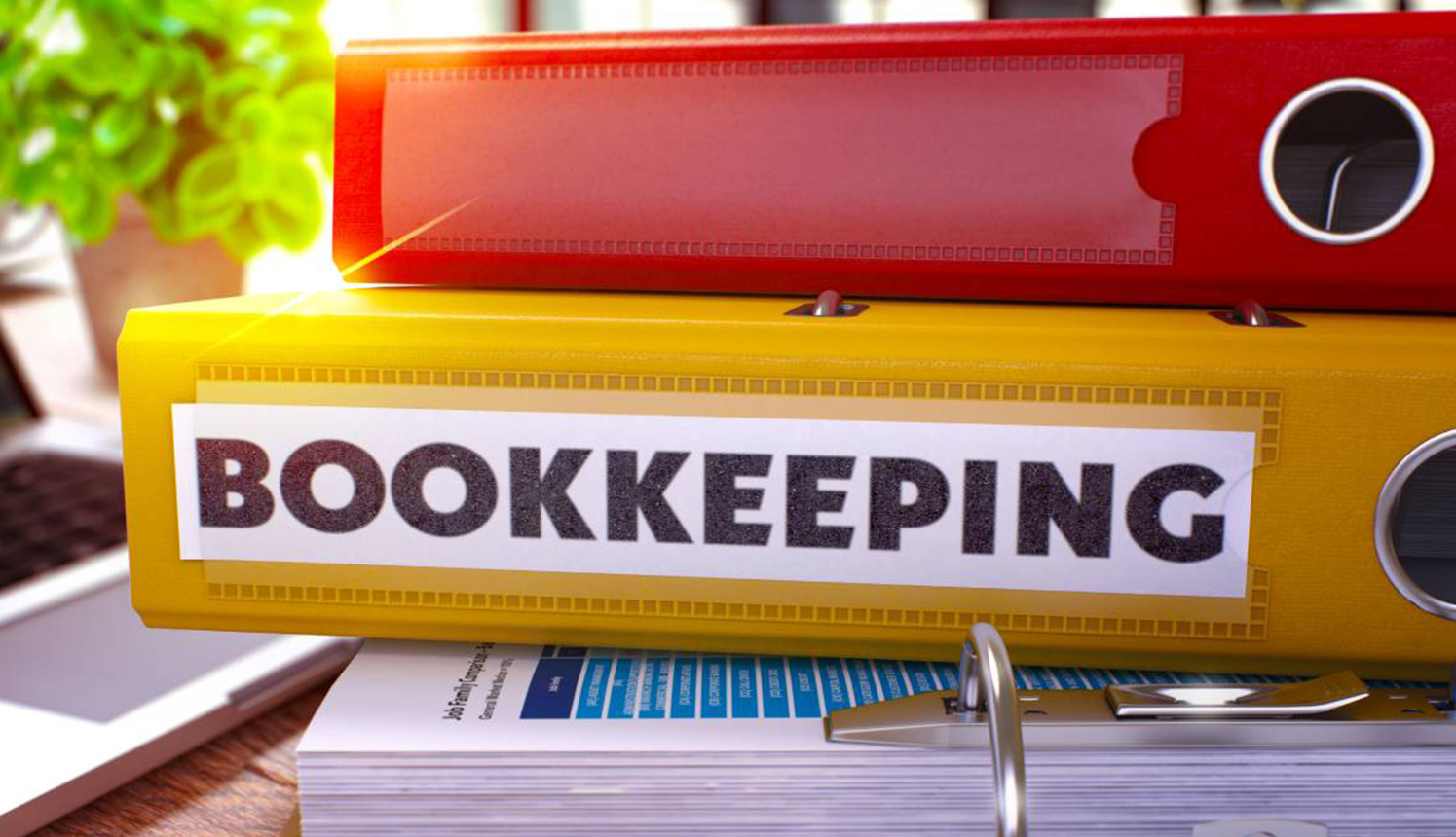 Services Inline – Profit Loss Statements
